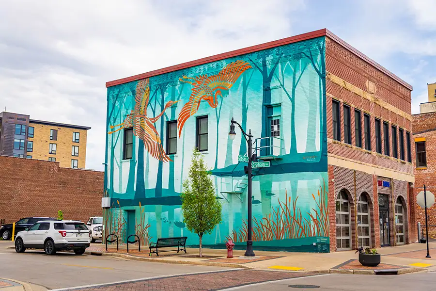 Mural Installation